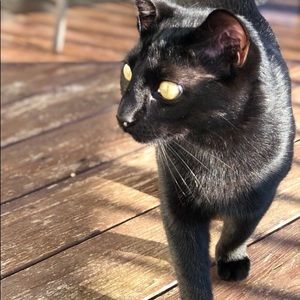 Meet your Posher, Ryleigh